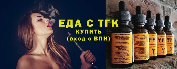 spice Богородицк