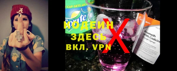 spice Богородицк
