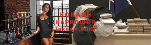 spice Богородицк