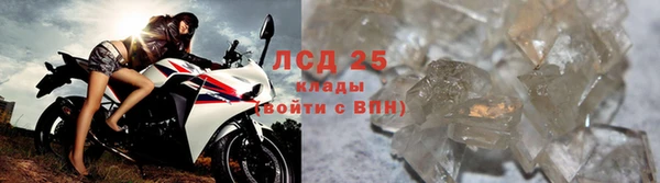 spice Богородицк