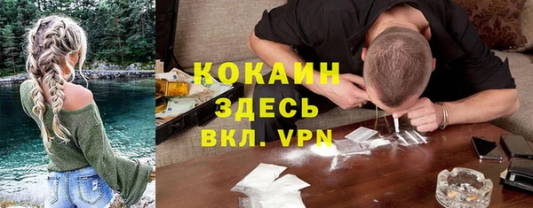 spice Богородицк