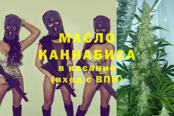 spice Богородицк